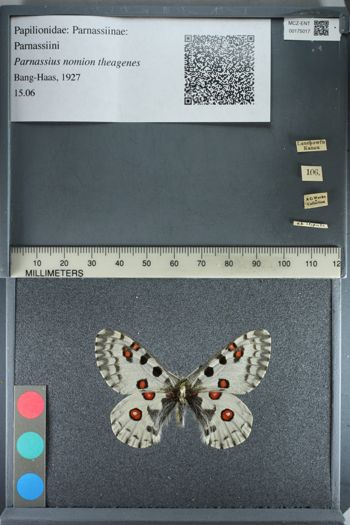 Media type: image;   Entomology 175017